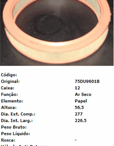 FILTRO AIRE R12