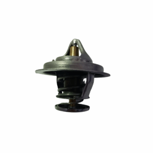 TERMOSTATO HYUNDAI HD65/CANTER 75mm